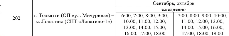 202 г. Тольятти (ОП «ул. Мичурина») - с. Лопатино (СНТ «Лонатино-1»)