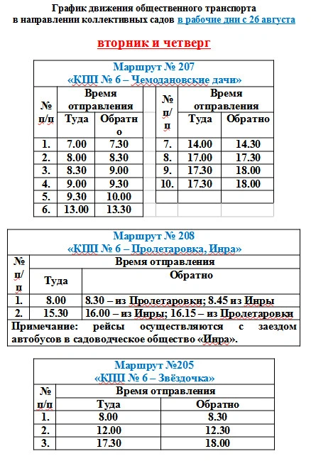 Звездочка Звездочка