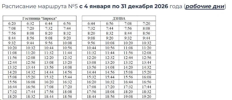 №5 «Гостиница «Бирюса» — ДЗНВА»  в будни