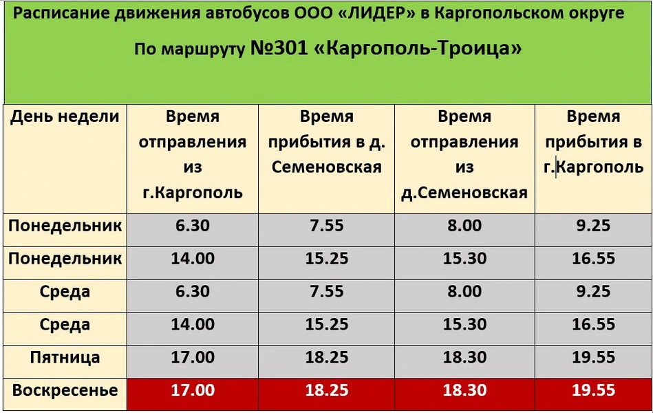 301 Каргополь - Троица