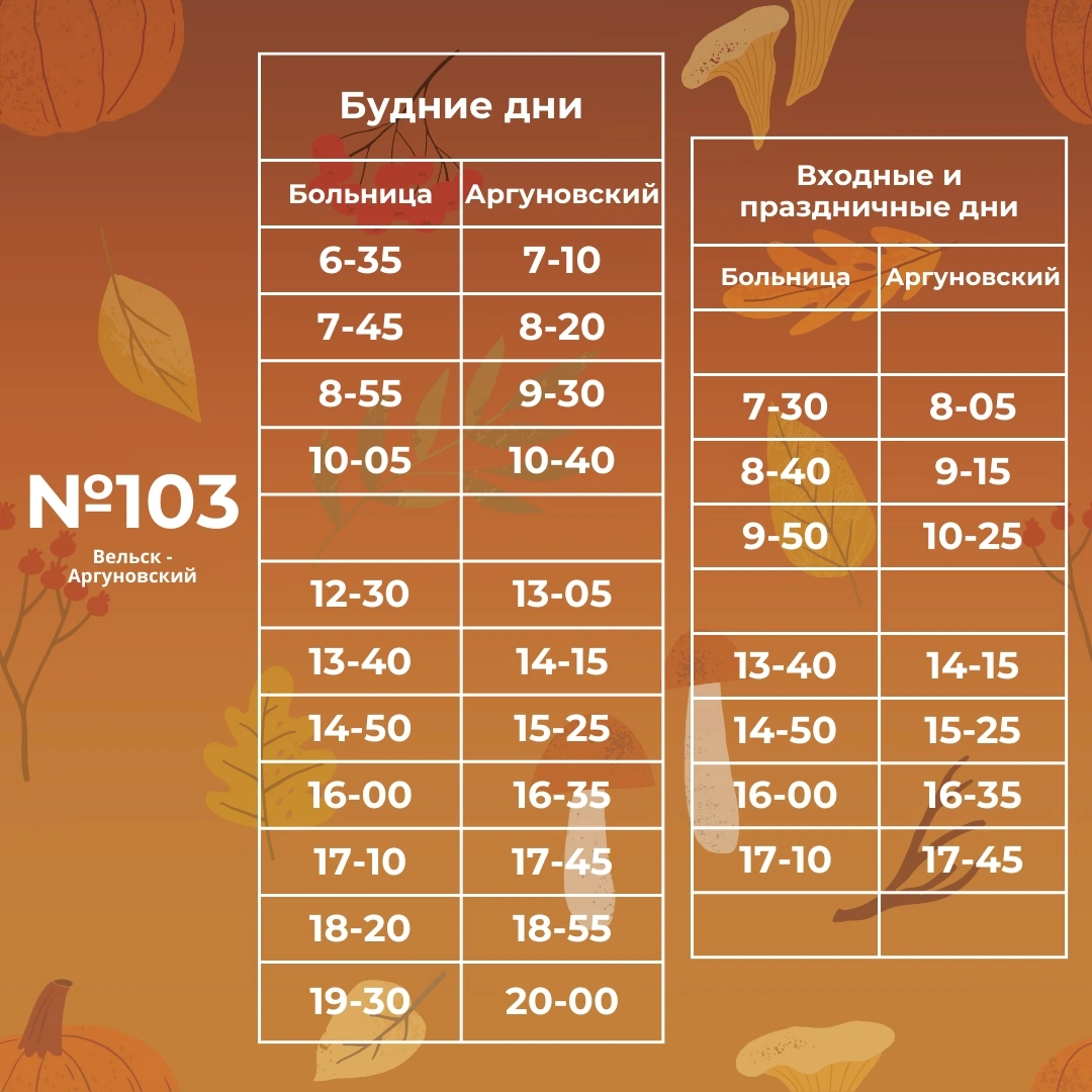 103 Вельск - Аргуновский 103 Вельск - Аргуновский