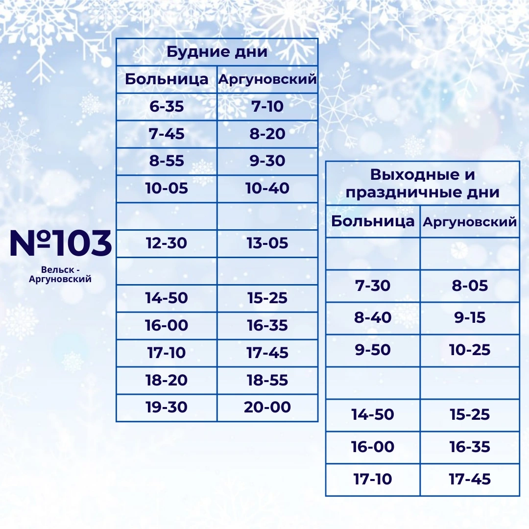 103 Вельск - Аргуновский