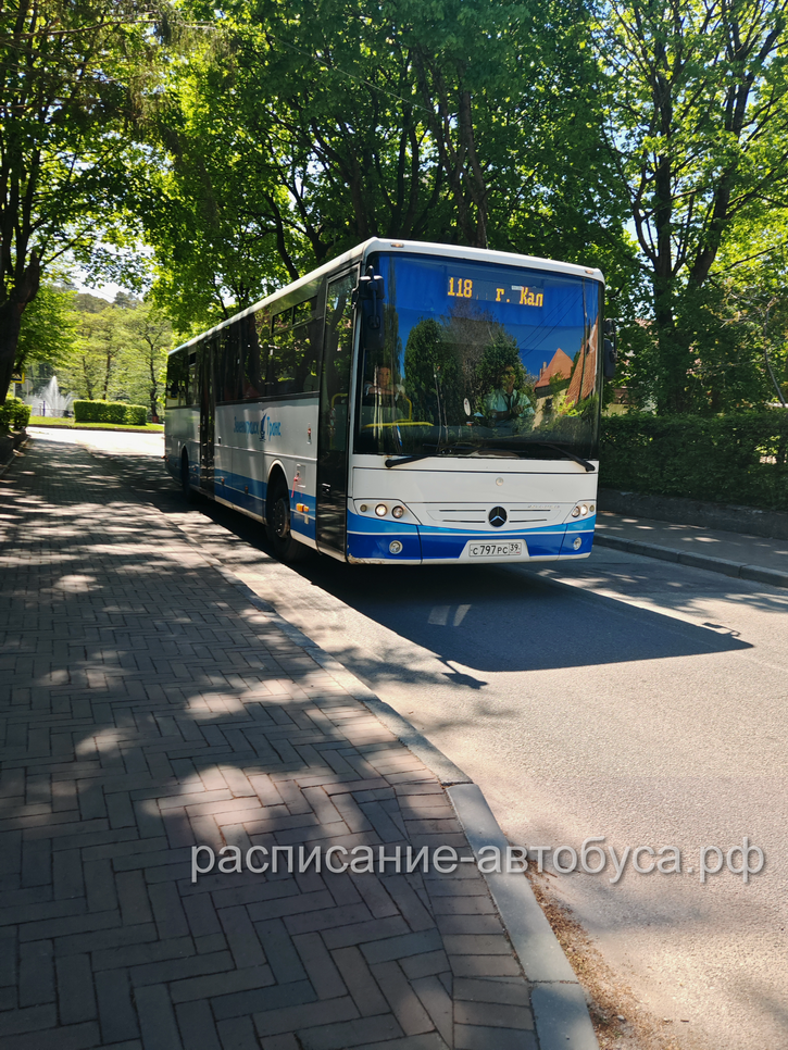 118 автобус в Светлогорске - фото