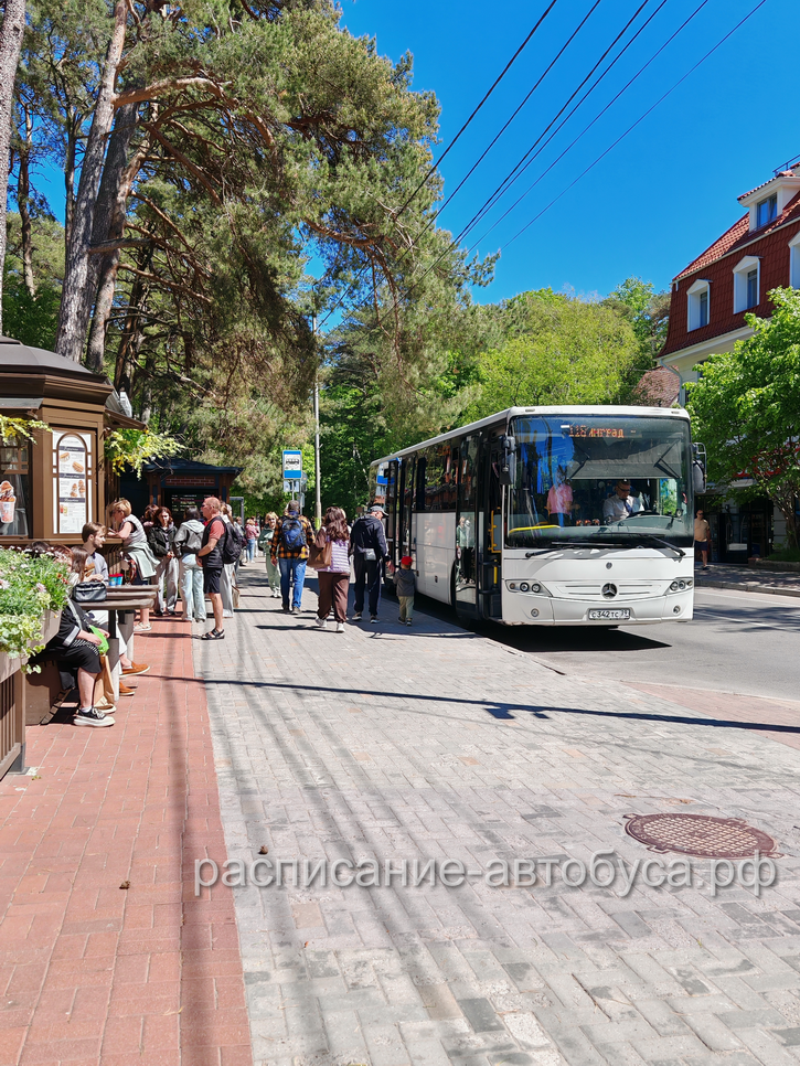 Остановка в Светлогорске