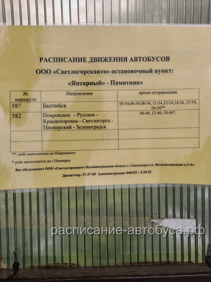 587 Янтарный