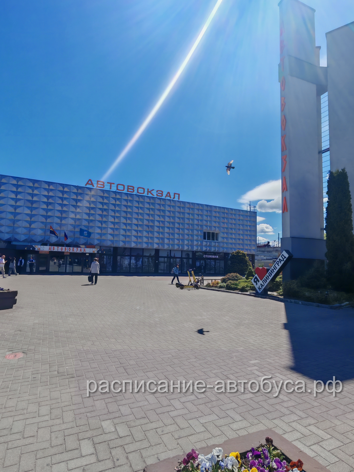Автовокзал Калининграда - фото