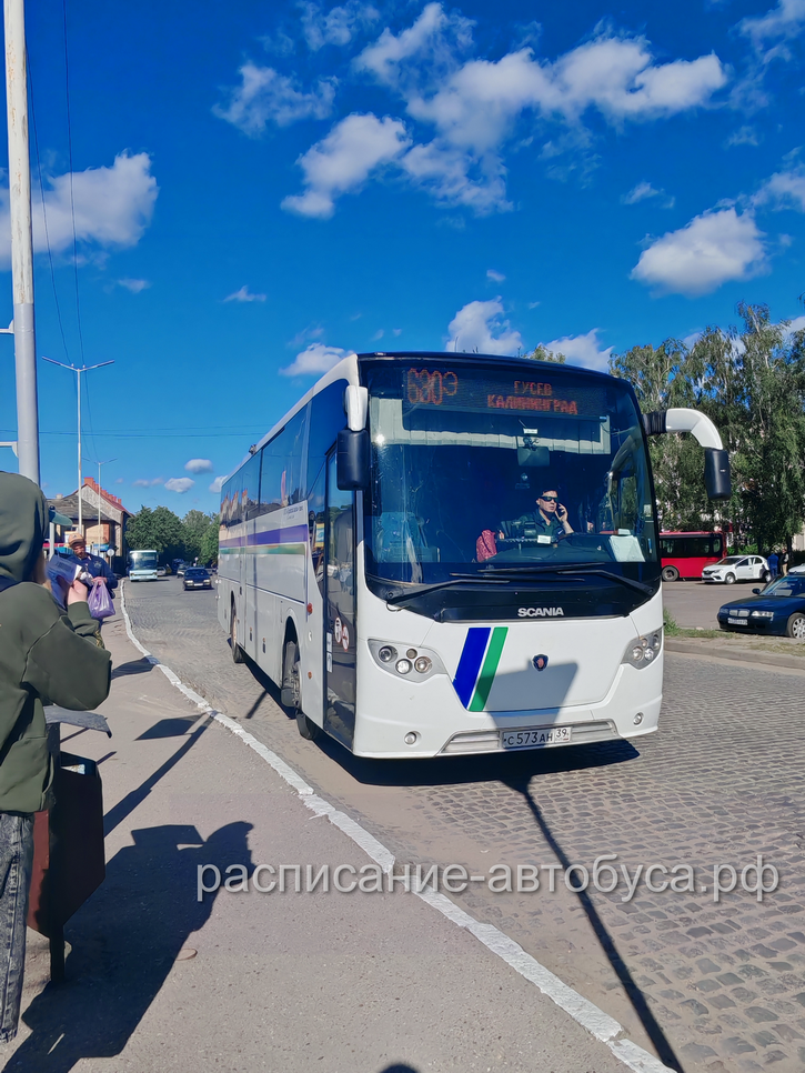 680э автобус в Гусев (на остановке Черняховск) - фото