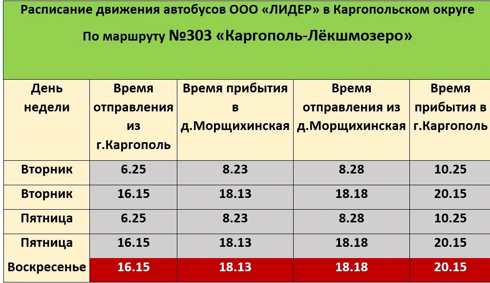 303 Каргополь - Лёкшмозеро